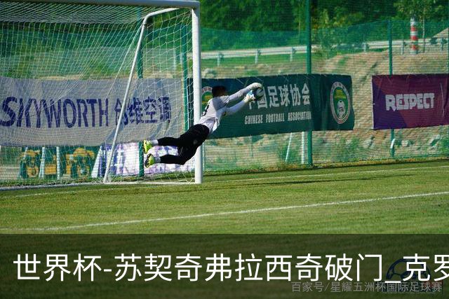 世界杯-苏契奇弗拉西奇破门 克罗地亚2-1加纳小组第二