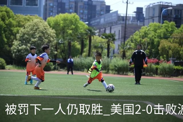 被罚下一人仍取胜 美国2-0击败波黑晋级16强